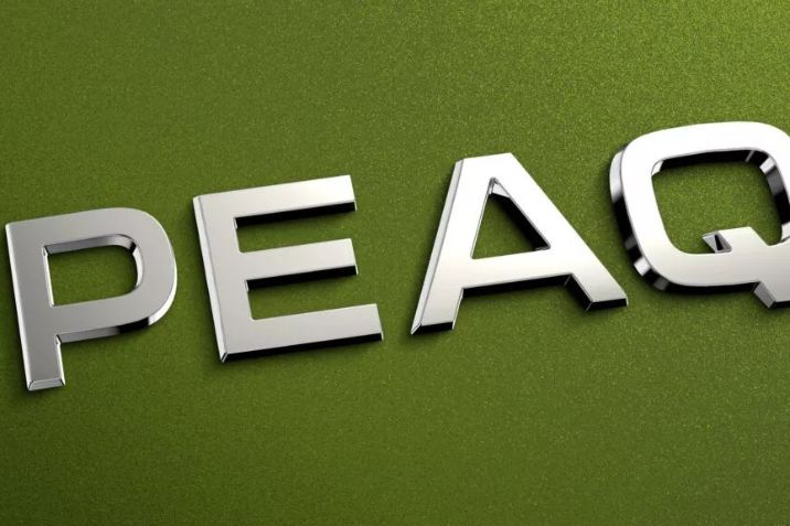 A PEAQ felirat skoda dizájnban